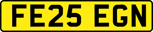 FE25EGN