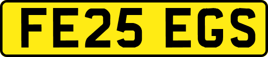 FE25EGS