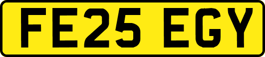 FE25EGY