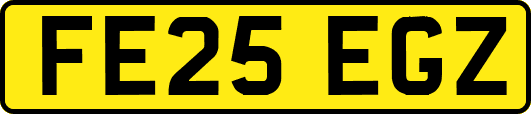 FE25EGZ