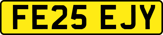 FE25EJY