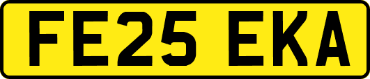 FE25EKA