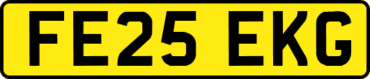 FE25EKG