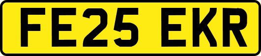 FE25EKR