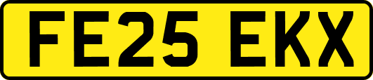 FE25EKX
