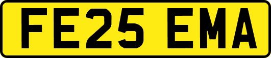 FE25EMA