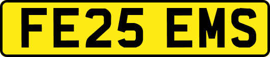 FE25EMS