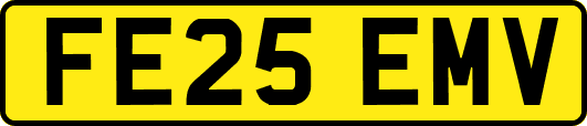 FE25EMV