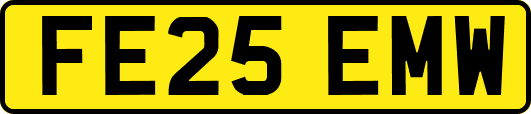FE25EMW