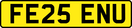 FE25ENU