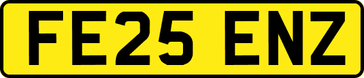 FE25ENZ
