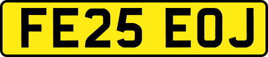 FE25EOJ