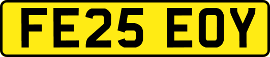 FE25EOY