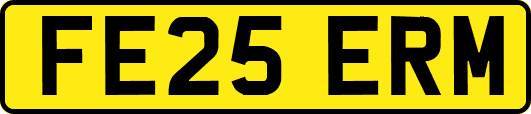 FE25ERM