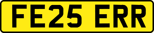 FE25ERR
