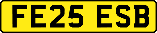 FE25ESB