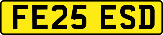 FE25ESD