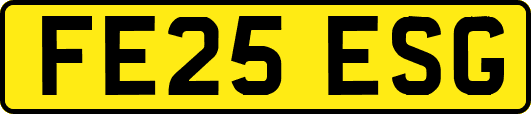 FE25ESG