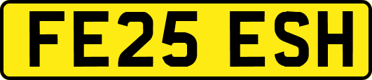 FE25ESH