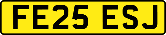 FE25ESJ