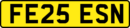 FE25ESN