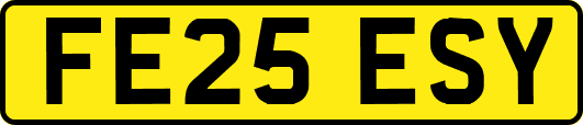 FE25ESY