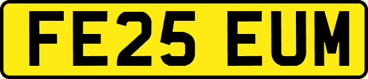 FE25EUM