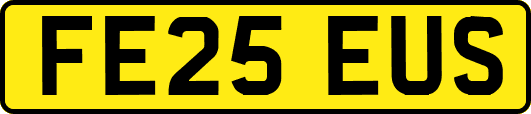 FE25EUS