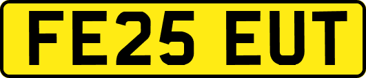 FE25EUT