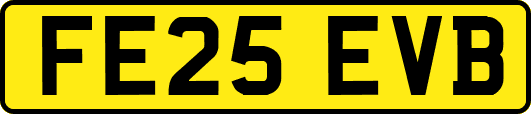 FE25EVB