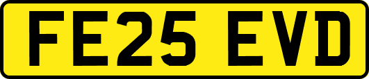 FE25EVD