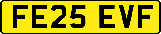 FE25EVF
