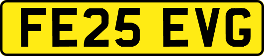 FE25EVG