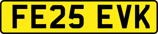 FE25EVK