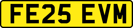 FE25EVM