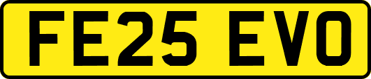 FE25EVO