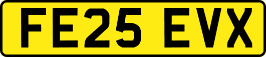 FE25EVX