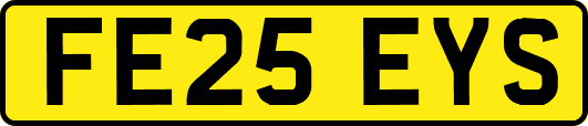 FE25EYS