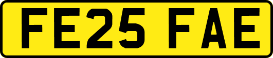 FE25FAE