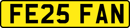 FE25FAN