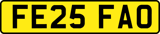 FE25FAO