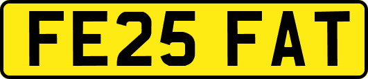 FE25FAT