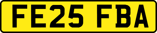 FE25FBA