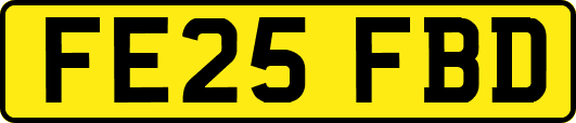 FE25FBD