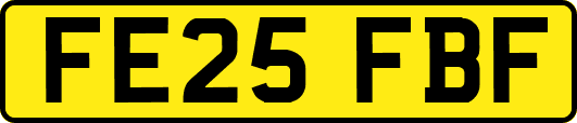 FE25FBF
