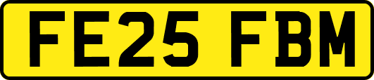 FE25FBM