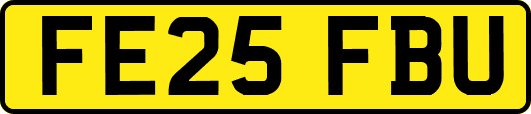 FE25FBU