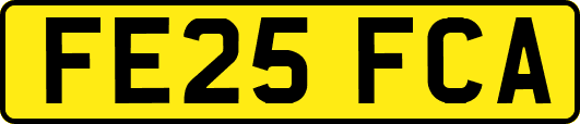 FE25FCA