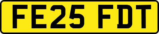 FE25FDT