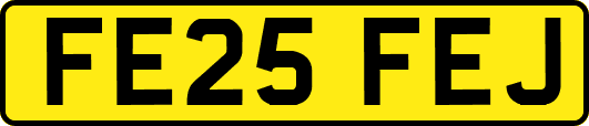FE25FEJ